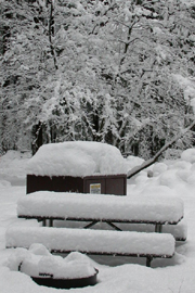 snow covered table 2004: 