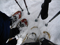 snowshoes copyright Monica Colmenares: 