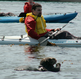 telephoto Alexander Verne and sea otter: 