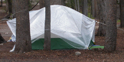 tent with plastic sheet: 