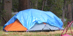 tent with tarp did it need it: 