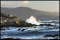 terragalleria 17 mile drive big wave: 