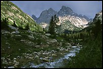 terragalleria tetons Cascade creek afternoon storm: 