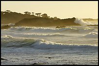 terragalleria waves 17 mile drive: 