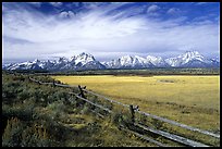 tetons and fence terragalleria: 