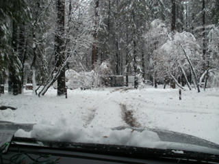 there's a road there somewhere: tire tracks are all that shows where a snowy roadway in a campground goes