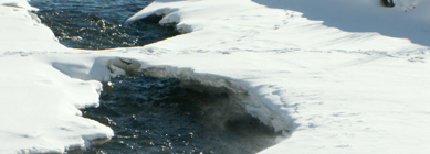 trail of animal tracks over ice bridge on Soda Butte Creek Yellowstone: 