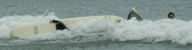 two wipeouts spr 2006: 