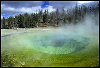 upper geyser basin QTL: 