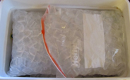 zip lock bags of ice: two large zip lock bags of ice cover the top layer of an ice chest