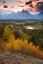 Grand Teton sunset by Ron Niebrugge: In the foreground, sagebrush, then a row of aspen, at the top clouds behind the teton range, photo used with permission from the photographer, Ron Niebrugge