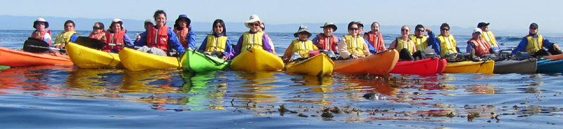 2010 group photo with seal: group photo of kayakers with seal in foreground