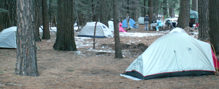 3 campsites winter 2009: 3 campsites on the winter 2009 Yosemite trip