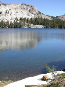 May Lake shore and snow: 