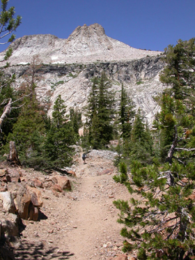 Mt Hoffman from trail along May Lake shore: 