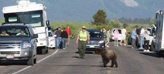 nps photo wildlife brigade: 