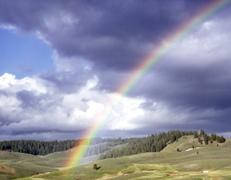NPS photo rainbow over hayden valley yellowstone: 