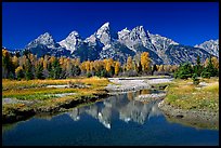 terragalleria Schwabacher landing: 