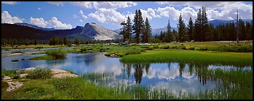 Quang-Tuan Luong Tuolumne Meadows with spring flooding.: photo by Quang-Tuan Luong Tuolumne Meadows with spring flooding