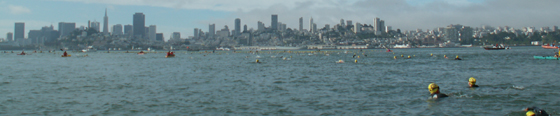 San Francisco skyline and Sharkfest 2007: 
