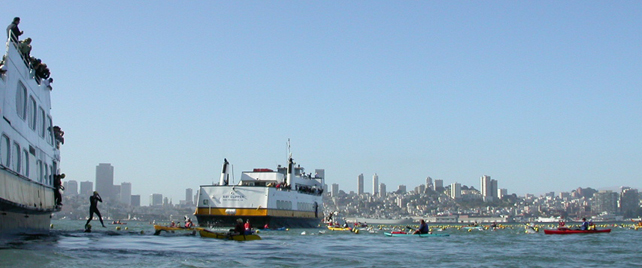 Sharkfest 2004 jumping into bay: 