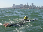 Sharkfest swimmer 2004: 