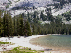 Tenaya Lake beach: 