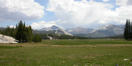 Tuol Meadows from west: 