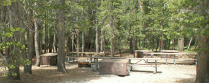 Tuolumne group site E: 