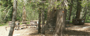 Tuolumne group site D: 