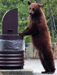 bearand trash can NPS photo: 