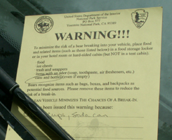 bear food warning note on car: 