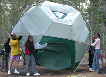 bear helps clean out tent: 