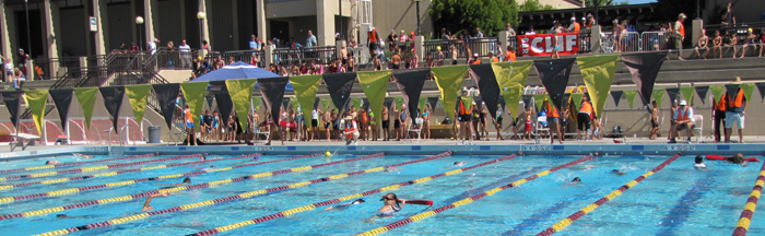 bleachers of athletes await swim start at triathlon: bleachers of athletes await swim start at triathlon, as lifeguards assist previous swimmers in the pool