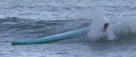 surfboard foam head oct 2003: 