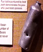 bottle bear punctured: 