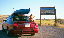rental car and Bullwinkle by Wendy Sato: 
