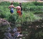 Outdoor Club frog hunt: 