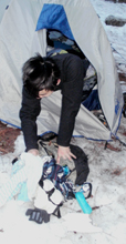 dragging torn up pack back to tent winter 2013: a camper dragging his torn up pack back into his tent