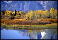 fall Oxbow Bend QTL: 