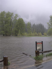 flooded Sentinel meadow Yosemite May 16 2005 NPS photo: 