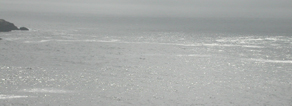 Point Lobos view to sea on a foggy day: 