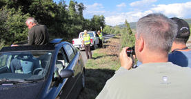 grizzley bear jam photo by Alan Ahlstrand: photographers stand on the far side of cars from the grizzly; one man watches while standing on his car seat, with his upper body through his sunroof