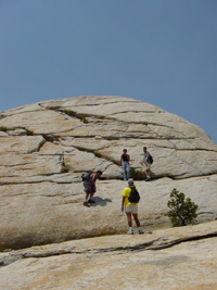 near the top of Lembert Dome: 