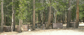 group site G Tuolumne meadows: 