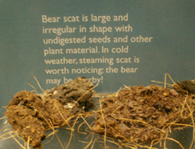 happy isles bear scat sign: 