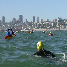 heads up swimming Sharkfest 2004: 