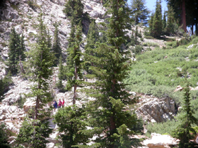 hikers on first section of trail above May lake: 