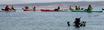 kayakers and scuba may 2005: 