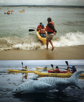 kayak landing at beach and out paddling: 